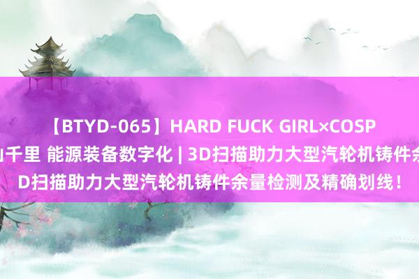 【BTYD-065】HARD FUCK GIRL×COSPLAY PRINCESS 遠山千里 能源装备数字化 | 3D扫描助力大型汽轮机铸件余量检测及精确划线！