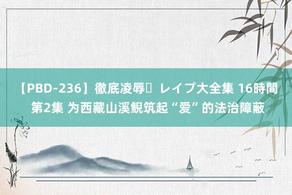 【PBD-236】徹底凌辱・レイプ大全集 16時間 第2集 为西藏山溪鲵筑起“爱”的法治障蔽