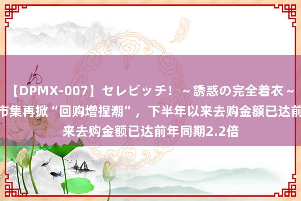 【DPMX-007】セレビッチ！～誘惑の完全着衣～ KAORI A股市集再掀“回购增捏潮”，下半年以来去购金额已达前年同期2.2倍